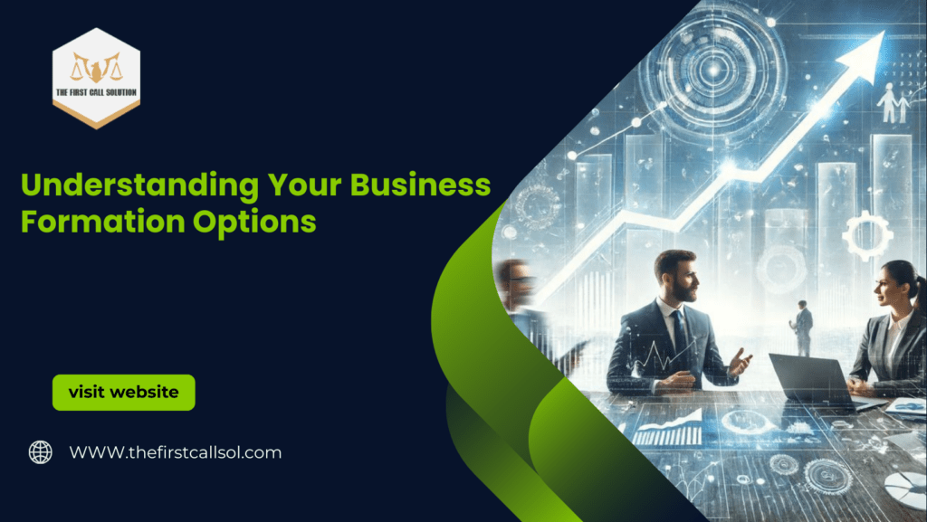 Understanding Your Business Formation Options