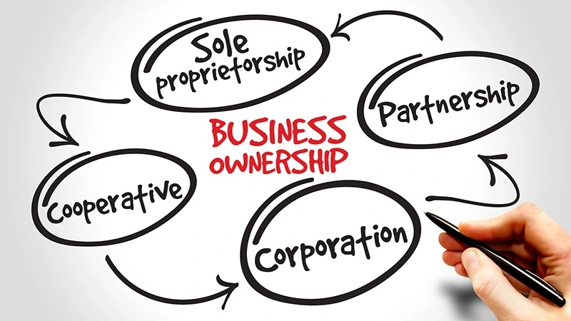 Business formation types